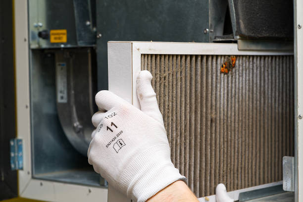 Best Emergency Air Duct Cleaning  in Pineville, LA