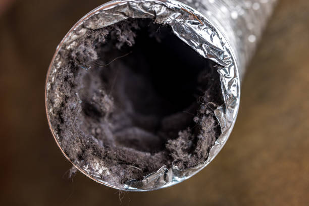 Best Affordable Duct Cleaning Services  in Pineville, LA